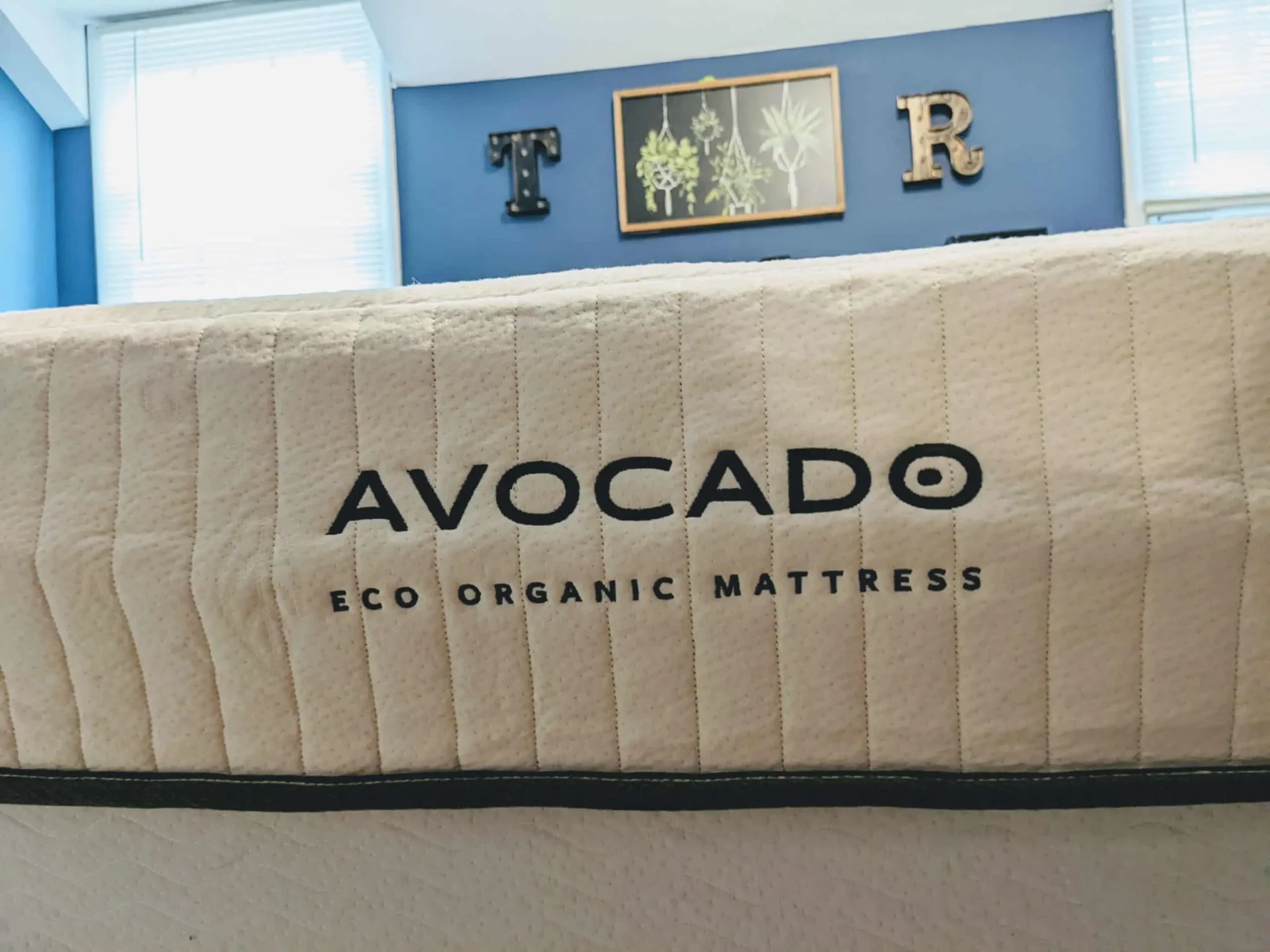 Avocado Mattress Lawsuit: Key Facts and What You Should Know