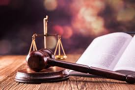 Starting Fresh in New Zealand: Why Legal Guidance Matters